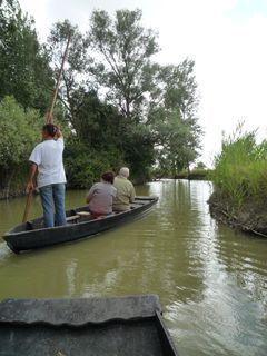 en yole sur le canal du Perrier (ph. Key West) perrier